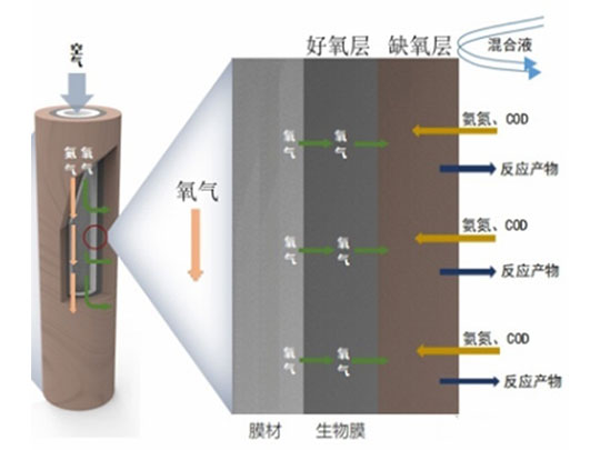 曝气填料